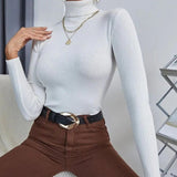 2000s fashion Women's Autumn and Winter Turtleneck Sweater Pullover Knitted Top Bottoming Shirt